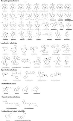 Natural Composition and Biosynthetic Pathways of Alkaloids in Medicinal Dendrobium Species